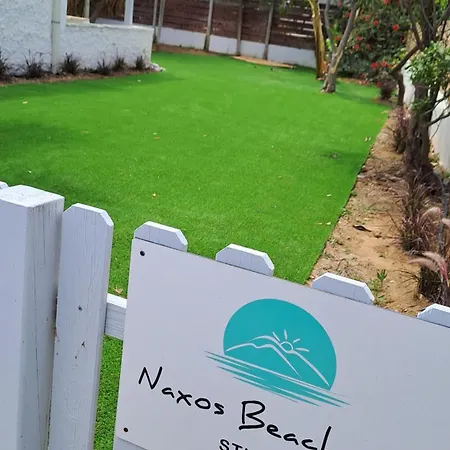 Naxos Beachwalk アパート Naxos City